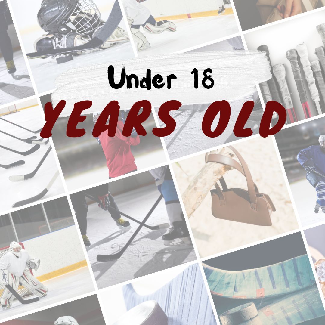 Stick N' Puck Fidelity Bank Worcester Ice Center Public Ice Schedules